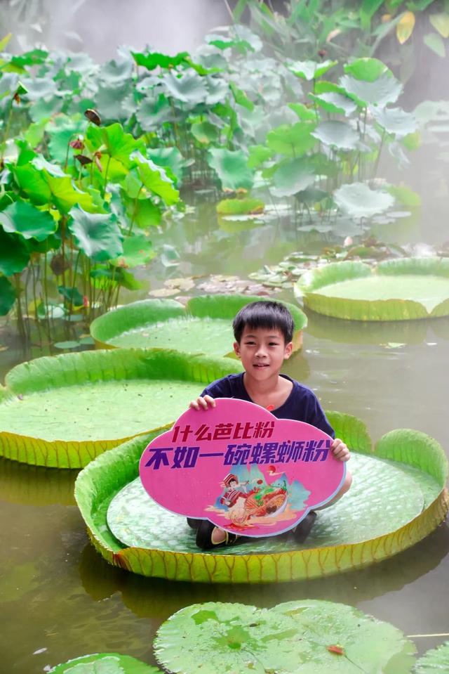 柳东奇遇记② | 探寻绿野仙踪，打卡宝藏生态画卷