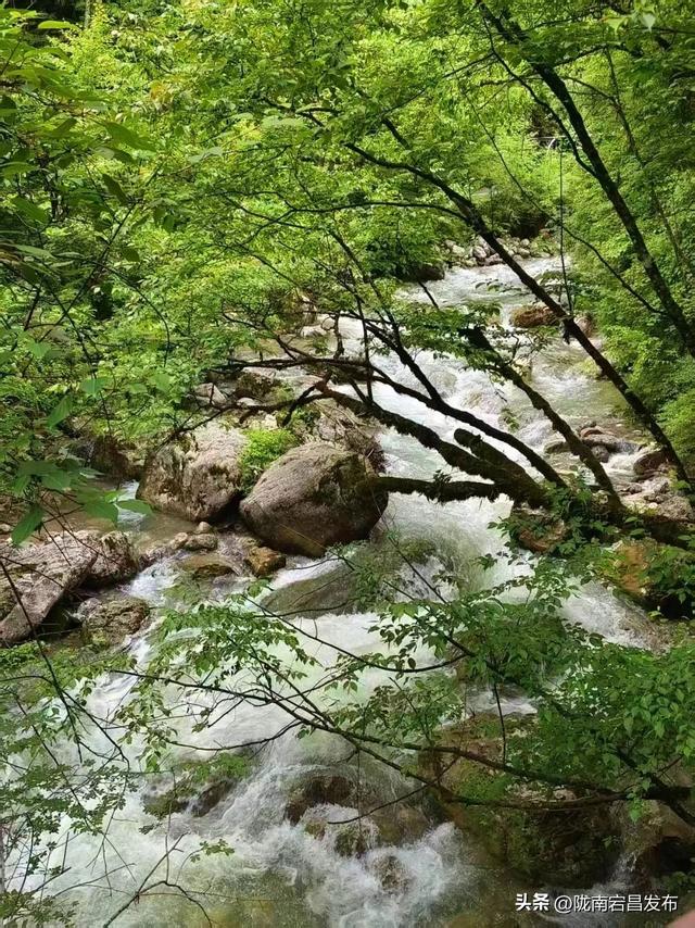 避暑胜地·康养宕昌｜夏日逃离热浪计划！来官鹅沟大景区，把日子过成“天然养生帖”~