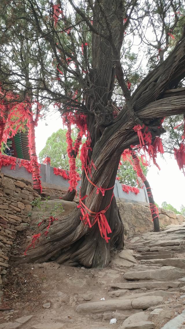 登武帝山