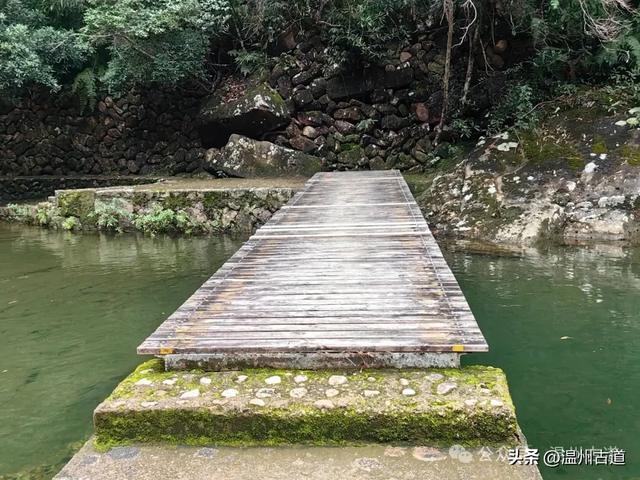 温州这个以畲族始祖命名的4A级景区，秘藏着一座“生物王国”！