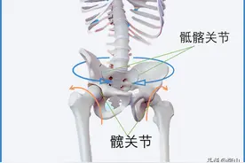 内家拳“开胯”探秘：揭示武学修炼中的隐秘之力图片