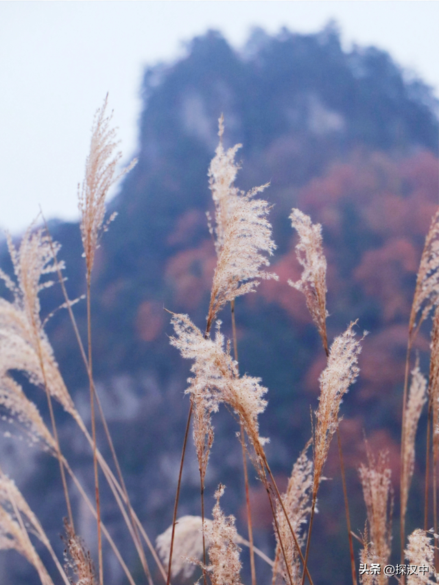 冬启秋未远！草川子的秋景仍在等你