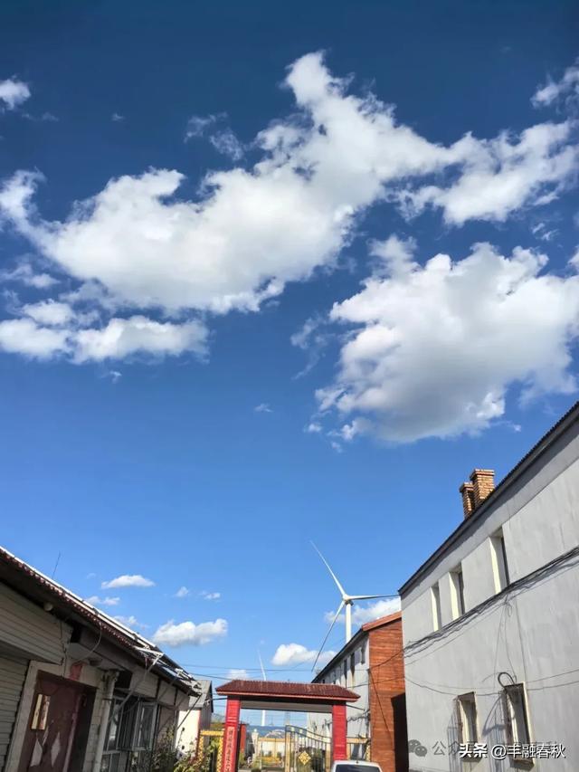 张北天路，桦皮岭的诗意之旅｜闫建国