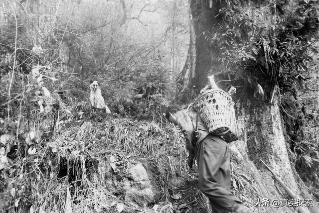 38 寻找大瀑布【岩洞营地—坡间营地D】阴多云夜雨（日记版）雅漂