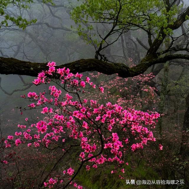 两性之间，女人愿意让你摸她这两个地方，其实就是在默默表白
