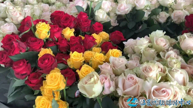 这一次，不得不去临夏了