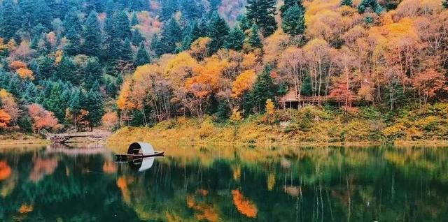 探秘宕昌：陇上仙境的自然奇观之旅