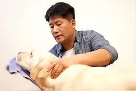 福建12岁“小孩哥”火了！在上海118层观光厅，他暖到很多人……图片