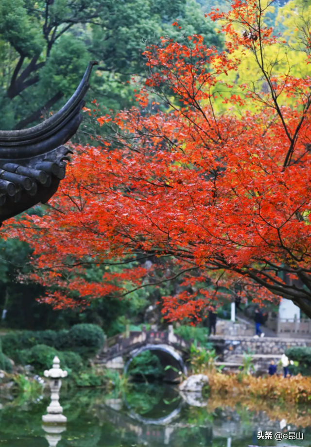 久等了！红透啦！