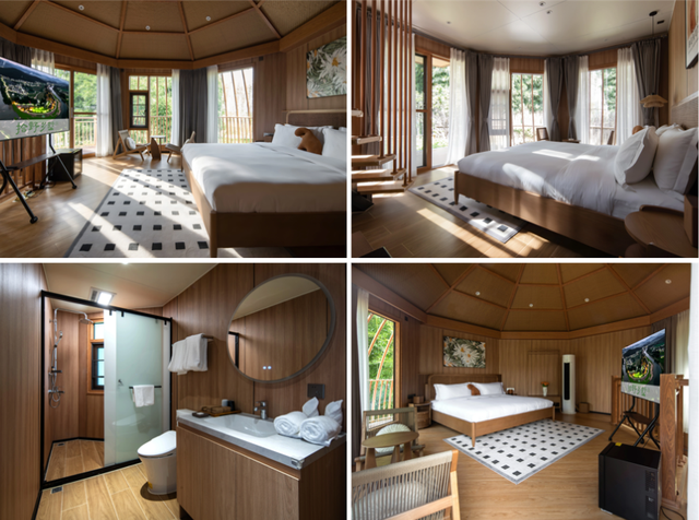 韶关新晋度假地，宛如现实版“绿野仙踪”，躺看星空的竹林民宿