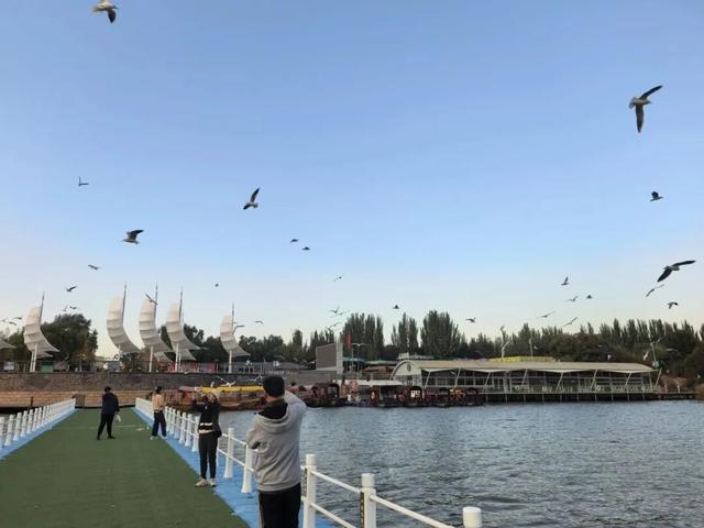 包头人自己的“洱海”~走！跟上鸥鸥上码头整点薯条去