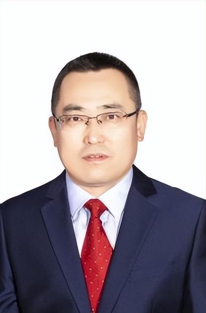 优化齿槽转矩兼顾电磁性能！哈理工团队提出永磁电机转子设计方法