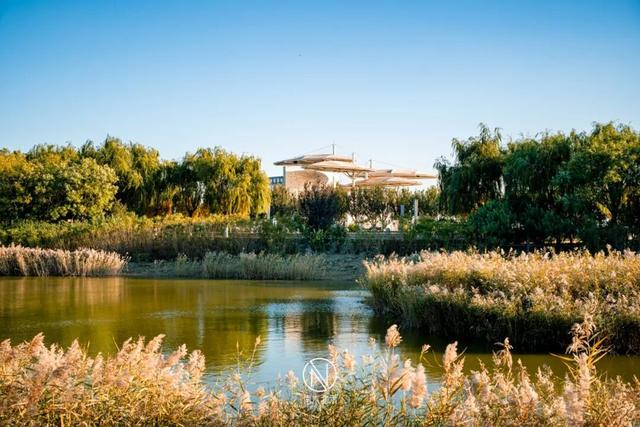 童话世界！深秋的生态城，美成了一幅画