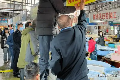 被全网群嘲的“涠洲岛20元停车费”，撕开当下社会最病态的现象