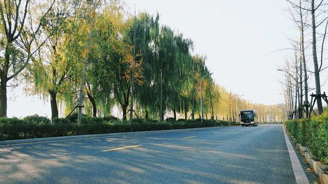 快上车！邂逅淄博的秋冬童话→