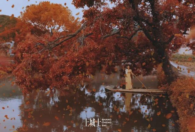 跟着马思纯游黄山！来看《上城士》镜头下徽州~ | 皖美冬日 | 第十五届安徽国际文化旅游节