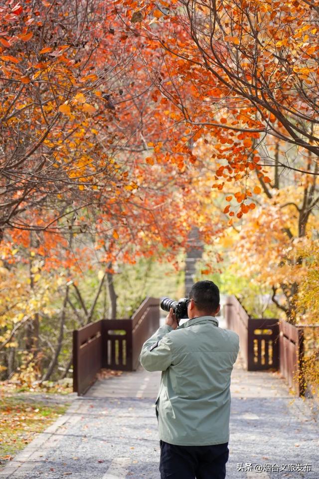 【乐游烟台】烟台绝美赏秋地即将封山，别错过