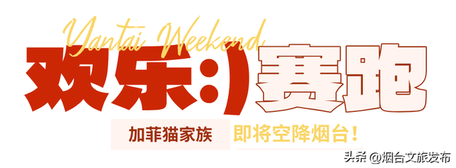【乐游烟台】周末好去处丨免费拍逛玩！烟台新展太靓了