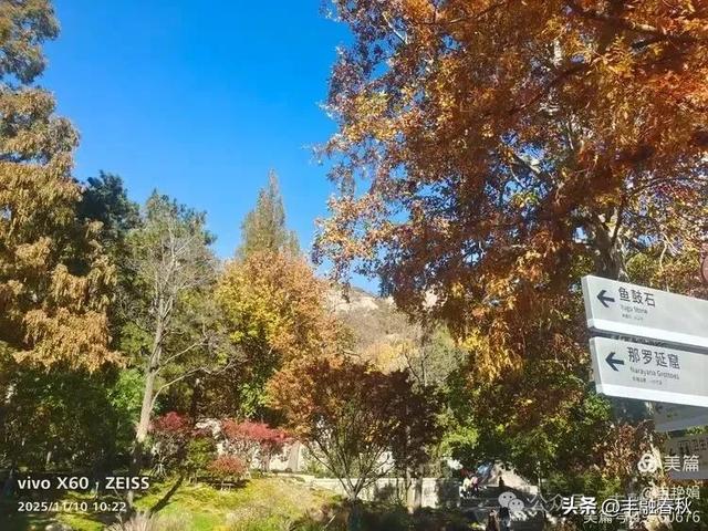 青岛崂山华严寺：山海间的禅意清响｜申艳娟