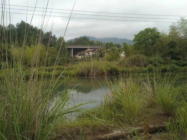 端阳喜伴小溪河，独有诗心迷远足——徒步小溪河散记（三）