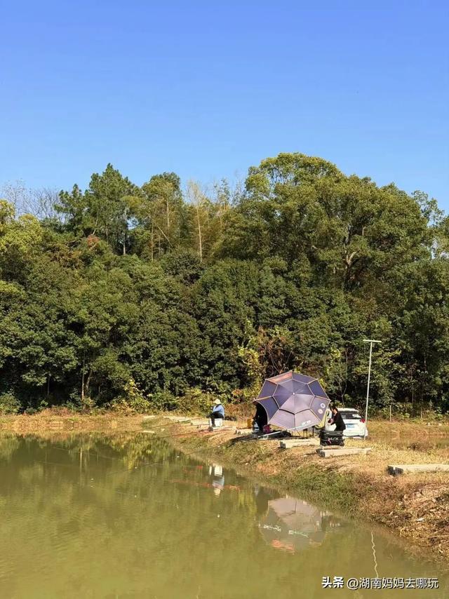 遛娃休闲两不误，在长沙“小禾木”邂逅12月初的灿烂风光！