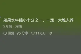 抛开体型，水牛竟然是最适合当宠物的？网友：水牛真的很通人性图片