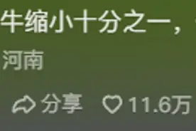 抛开体型，水牛竟然是最适合当宠物的？网友：水牛真的很通人性图片