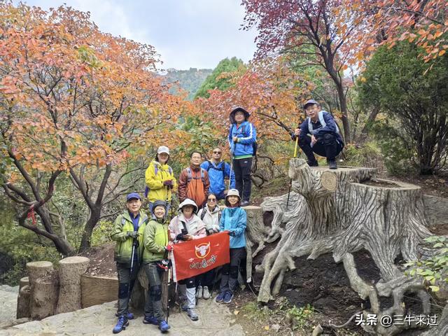 无为在歧路，济南红叶谷