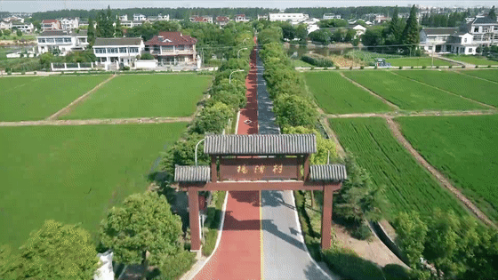 在太仓，原来还可以这样玩