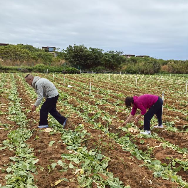 和大自然的邂逅