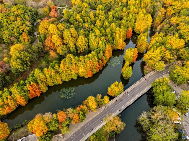 时间在这里按下暂停键，让我们见证季节变换