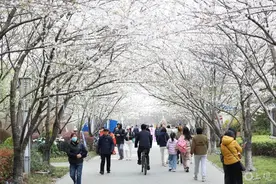 上海新增2条巴士线路，单程3元，只开半个月！这里人从众预警，有deepseek加持绝不白跑图片