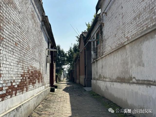 冠县乡韵·兰沃乡大柳邵村