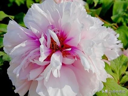 晚年苦不苦，全看七十五：这4手备好，余生安稳舒心