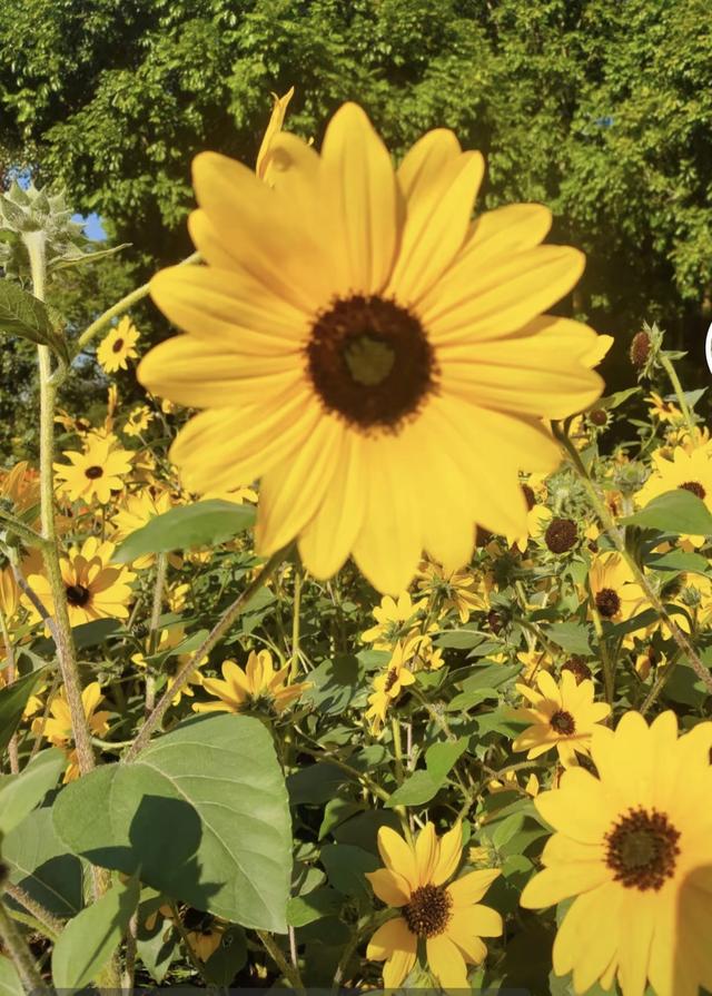 时光太瘦，指缝太宽