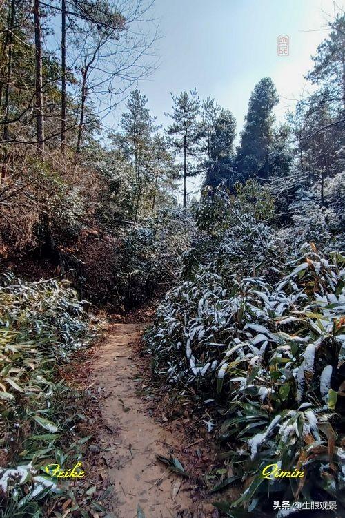 影记 | 衢州钱江源国家森林公园