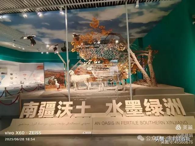 探秘丝路明珠,邂逅巴楚千年文明——走进新疆巴楚博物馆|申艳娟
