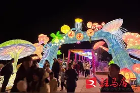 免门票 赏花灯 老乐山开春福利来袭图片