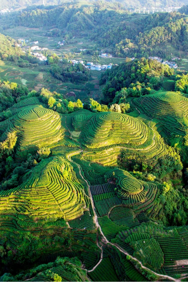 “秋假”开耍！带着小宝来雅安准没错！
