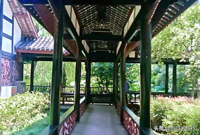 成都最出名的桂花观赏地，超级低调，桂香四溢，地铁公交车直达！
