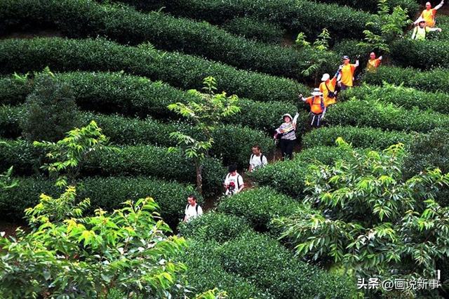 连城县赖源乡：打造四季“ ‘氧生’天堂” 徒步健身佳境