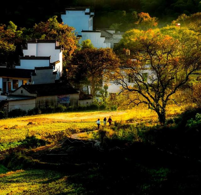 秋染徽州:一场穿越千年的色彩盛宴