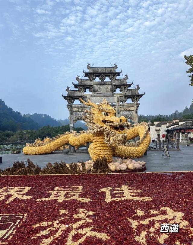 这场活动太圈粉，网友直呼“爱上了”