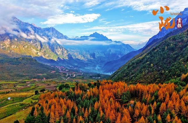 【小陇画报·439期】舟曲：绚丽赛尔布 斑斓满眼秋