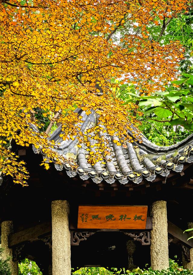 半烟火半诗意：潍坊园林的美，从不被定义