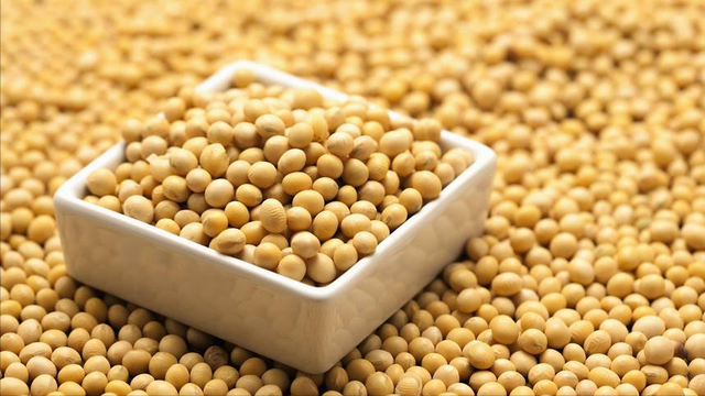 深海鱼皮胶原蛋白肽的功效 深海鱼皮胶原蛋白肽 有疗效吗