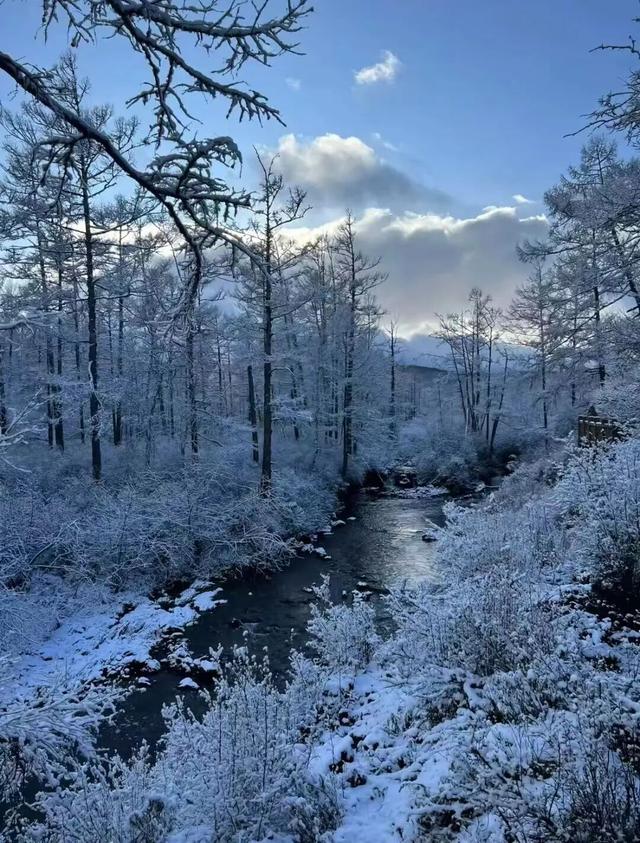 热雪燃冬，呼伦贝尔值得！