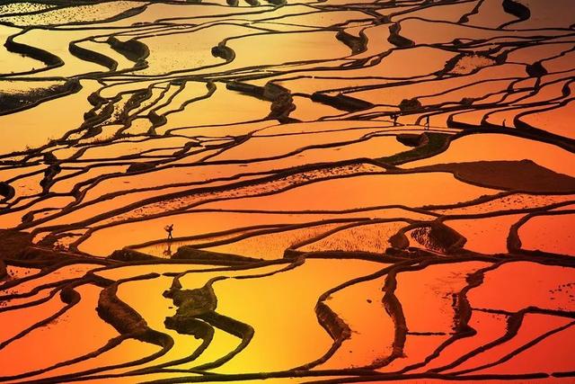 这个元旦，来元阳观赏梯田光影，参加百米长街宴吧