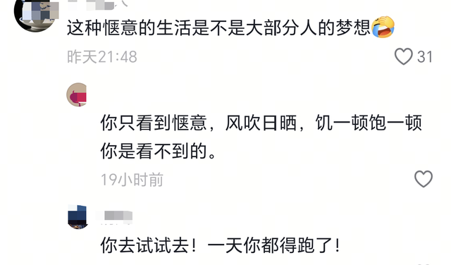 网友拍下惬意一幕，大叔和牧羊犬放羊时候睡着，羊群在旁边也不跑