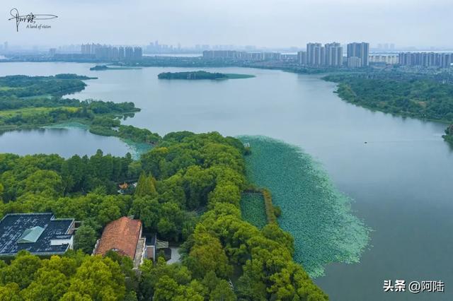 武汉的知音湖和后官湖究竟谁是大谁是小?把我这外地佬搞晕了